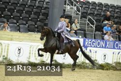 24R13_21034 thumbnail