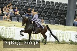 24R13_21036 thumbnail