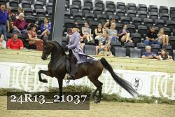 24R13_21037 thumbnail
