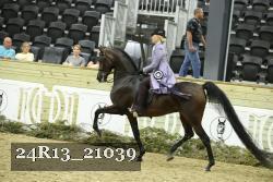 24R13_21039 thumbnail