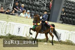 24R13_21041 thumbnail