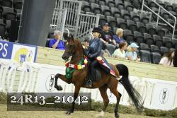 24R13_21042 thumbnail