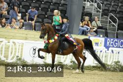 24R13_21046 thumbnail