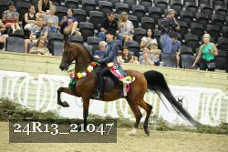 24R13_21047 thumbnail