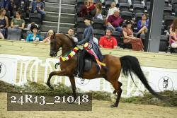 24R13_21048 thumbnail