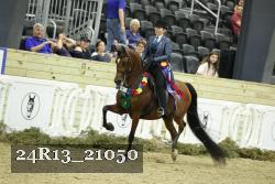24R13_21050 thumbnail