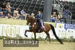 24R13_21052 thumbnail