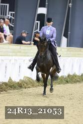 24R13_21053 thumbnail