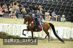 24R13_21054 thumbnail