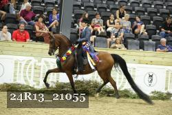 24R13_21055 thumbnail