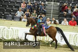 24R13_21057 thumbnail