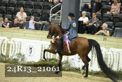 24R13_21061 thumbnail
