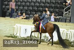 24R13_21062 thumbnail