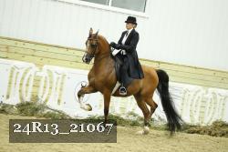 24R13_21067 thumbnail