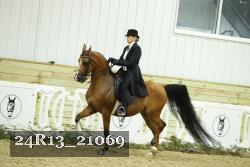24R13_21069 thumbnail