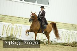 24R13_21070 thumbnail