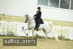 24R13_21071 thumbnail