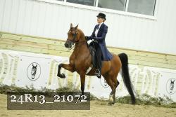 24R13_21072 thumbnail