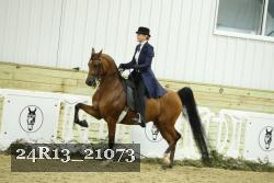 24R13_21073 thumbnail
