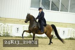 24R13_21074 thumbnail