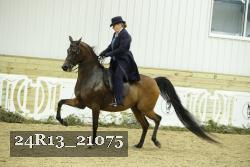 24R13_21075 thumbnail