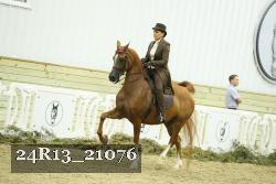 24R13_21076 thumbnail