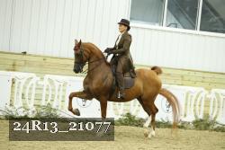 24R13_21077 thumbnail