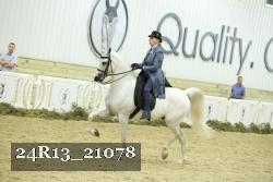 24R13_21078 thumbnail