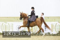 24R13_21079 thumbnail