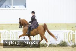 24R13_21080 thumbnail
