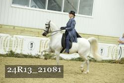 24R13_21081 thumbnail
