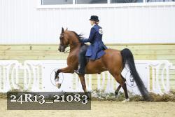 24R13_21083 thumbnail