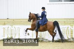 24R13_21084 thumbnail