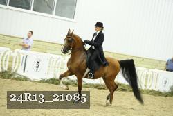 24R13_21085 thumbnail