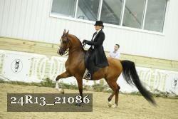 24R13_21086 thumbnail