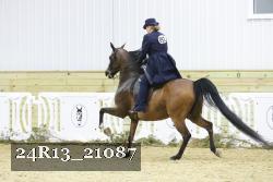 24R13_21087 thumbnail