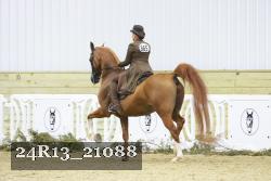 24R13_21088 thumbnail