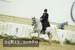 24R13_21089 thumbnail