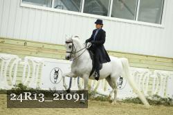 24R13_21091 thumbnail