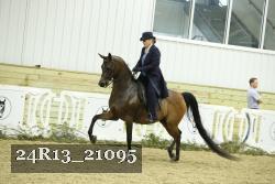 24R13_21095 thumbnail