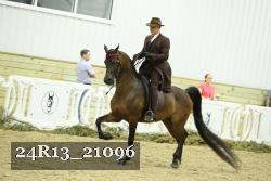 24R13_21096 thumbnail