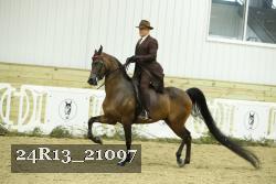 24R13_21097 thumbnail
