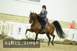 24R13_21098 thumbnail
