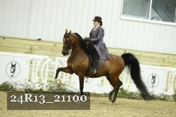 24R13_21100 thumbnail