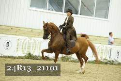 24R13_21101 thumbnail