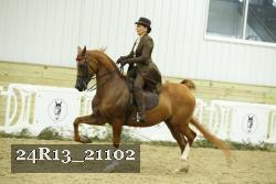 24R13_21102 thumbnail