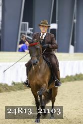 24R13_21103 thumbnail