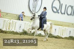 24R13_21105 thumbnail