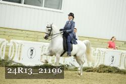 24R13_21106 thumbnail