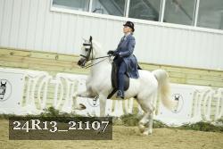 24R13_21107 thumbnail